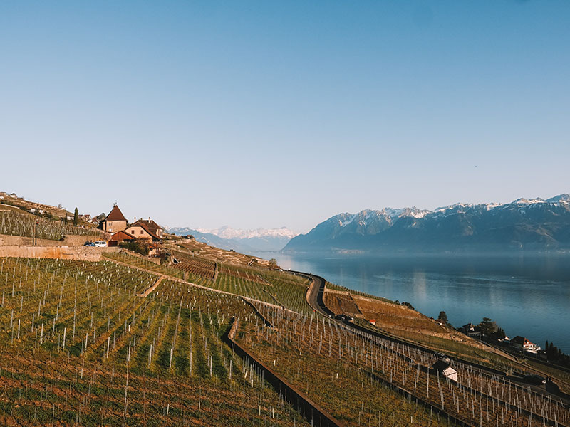 Private Weinprobe in Lausanne - Morges